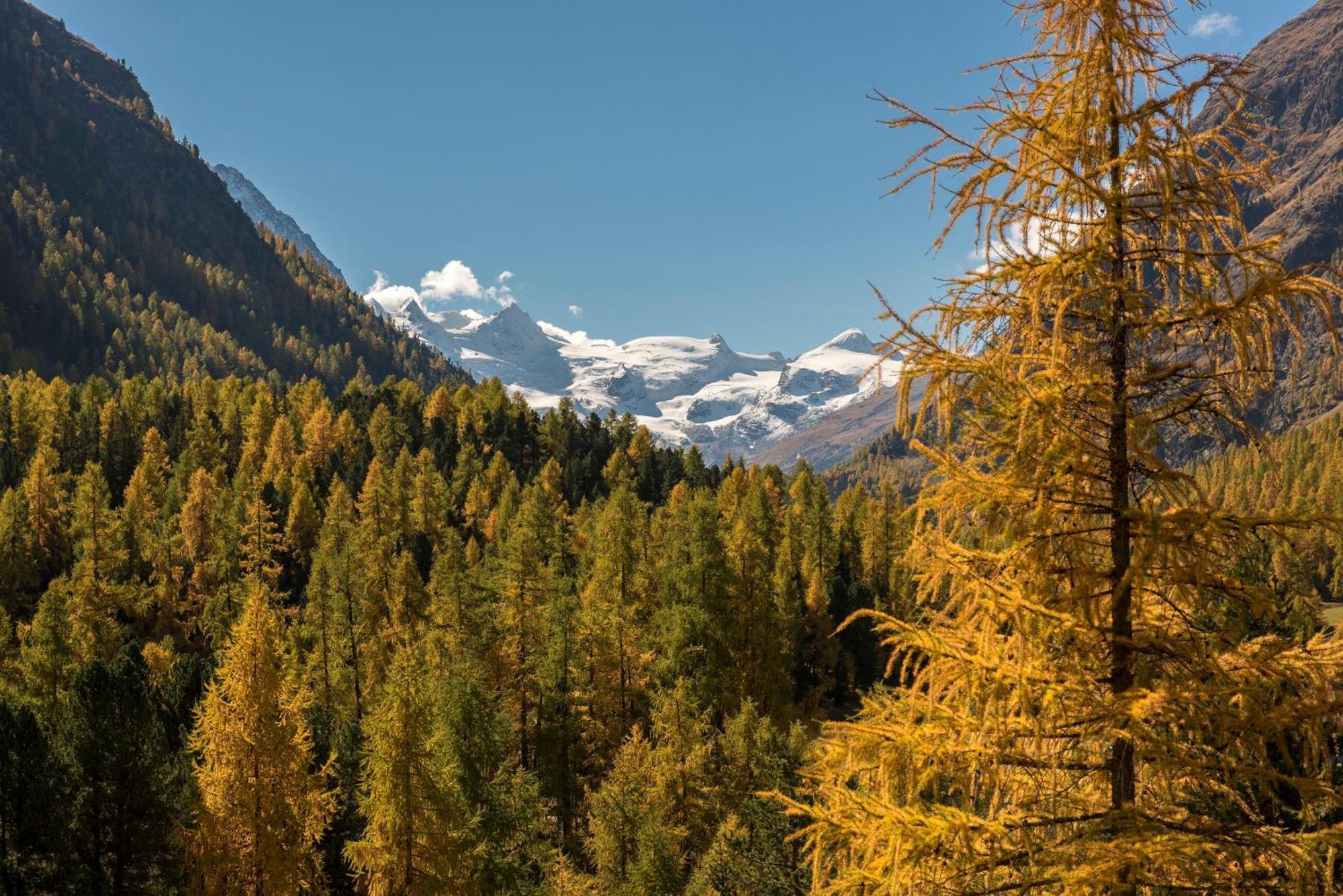 Hotel Saratz Pontresina Dış mekan fotoğraf